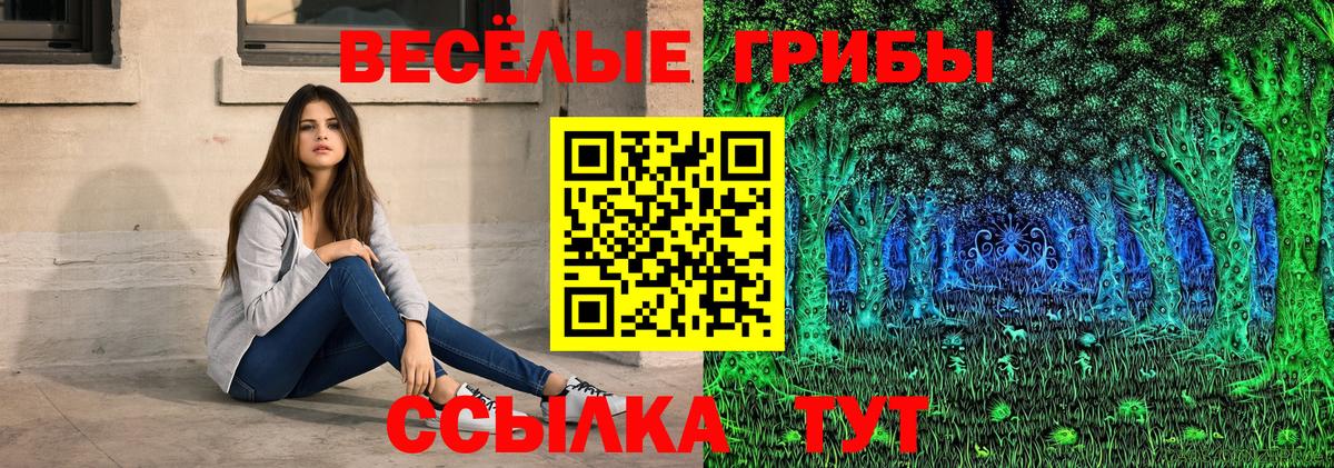 Псилоцибиновые грибы Cubensis Гусев