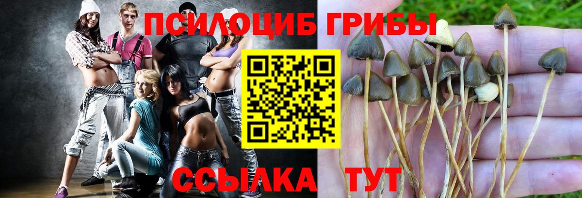 Псилоцибиновые грибы прущие грибы  дарнет шоп  Галлюциногенные грибы ЛСД  Гусев  Вход с VPN 